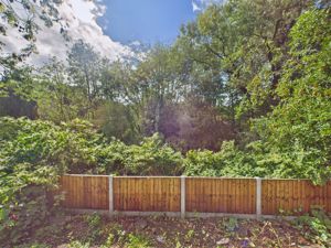 Photo 46- click for photo gallery